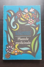 Plantele medicinale (proprietățile lor terapeutice și modul de folosire) - Gr. Constantinescu, Elena Hațieganu