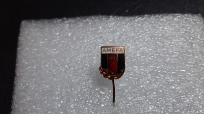Insigna AMEFA Arad foto