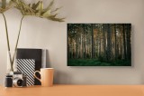 Tablou Canvas, "Taina pădurii la apus de soare", Pădure, Lumină, Tranquilitate, Verdeață, Natură, Arbori, Serenitate, Apus, Peisaj, Frunziș, 39 x 26 c