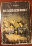 Mic atlas de anatomia omului-Dem Theodorescu