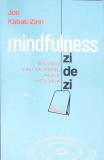 MINDFULNESS ZI DE ZI-JON KABAT-ZINN-363282