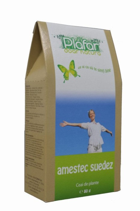 AMESTEC PLANTE BITTER 80GR