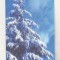 bnk card Cartela telefonica - P-49b 2000 50000 lei Iarna