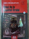 OMUL DE LA CAPATUL FIRULUI-RODICA OJOG-BRASOVEANU-354631
