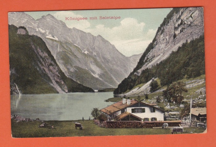 AMS - CP GERMANIA, 1908