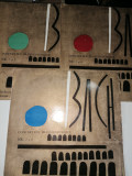 Cumpara ieftin LOT 3 DISC / VINIL / - BACH - CONCERTELE BRANDEMBURGICE
