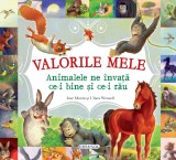 Valorile mele | Ulises Wensell, Jose Moran, Girasol