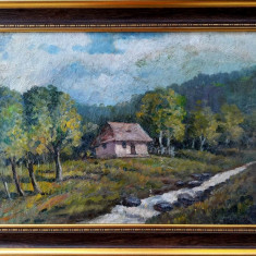 Tablou - pictor român, peisaj cu casă, semnat (Steurer?)