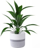 Cos pentru ghivece Colmanda, bumbac, alb/gri, 28 x 28 cm