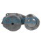 DAYCO APV2733 Intinzator curea, curea distributie