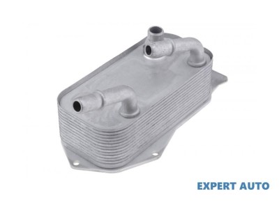 Radiator ulei BMW X1 (2009-&amp;gt;) [E84]) [E81, E87] #1 foto