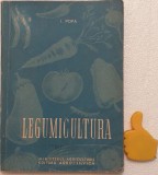 Legumicultura I Popa