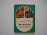 Fructele si sanatatea - Gh. Badescu, M. Constantinescu, L. Badescu, Gr. Isac, 1984, Alta editura