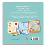 Cartea mea cu labirinturi |