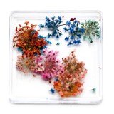 Cumpara ieftin Decor pentru unghii, flori uscate D25