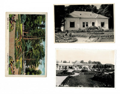 Baile Felix 1930-40 - Lot 3 carti postale foto