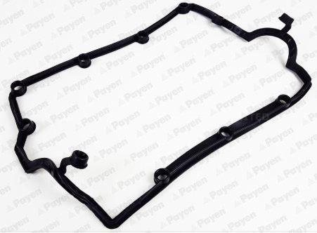 PAYEN JM7032 Garnitura, capac supape