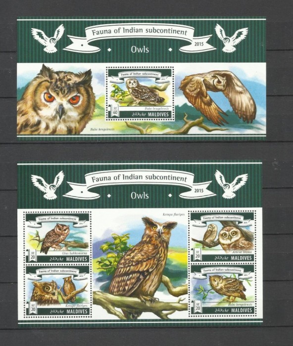 MALDIVES 2015 PASARI DE PRADA BUFNITE