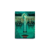 The Great Gatsby: An Illuminated Edition