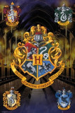 Cumpara ieftin Poster - Harry Potter | GB Eye