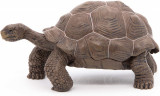 Figurina - Galapagos Tortoise | Papo