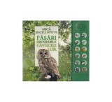 Păsări din pădure și c&acirc;ntecele lor - Board book - *** - Aramis