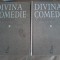 Divina Comedie comentarii de George Cosbuc (2 vol.)