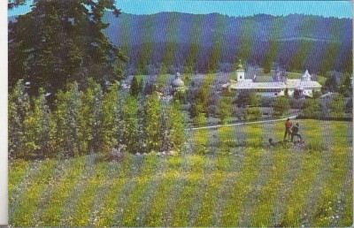 bnk cp Manastirea Neamt - Vedere - necirculata foto