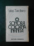 IULIUS TUNDREA - O SONORA COLOANA INFINITA