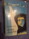 a5 Drum deschis - Serban Nedelcu