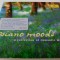 Piano moods - 2 cd -3889