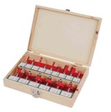 Set 15 freze profilate Router bits &oslash;8mm, Raider 158304