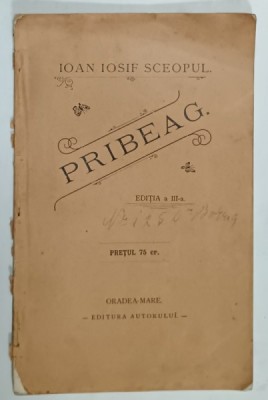 PRIBEAG de IOAN IOSIF SCEOPUL , 1899 foto