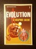 Dylan Evans; Howard Selina - Introducing Evolution : a Graphic Guide
