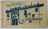 SALAMANCA , ( ALTIT. 800 m. ) , MINIALBUM CU 19 CARTI POSTALE DETASABILE , FOTOGRAFII DE EPOCA , PERIOADA INTERBELICA