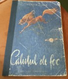 CALUTUL DE FOC Viorica Huber 1957