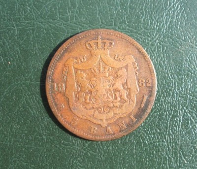 5 bani 1882 foto