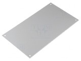 Panou Anterior Aluminiu CARDMASTER 117mm x 205mm