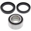 Kit rulmenti roata spate Artic Cat Bear TBX TRV 25-1434 All Balls
