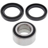 Kit rulmenti roata spate Artic Cat Bear TBX TRV 25-1434 All Balls