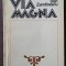Dan Zamfirescu - Via Magna