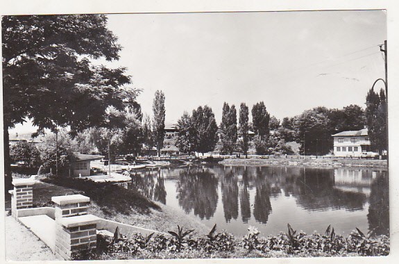 bnk cp Campina - Vedere - necirculata