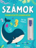 Cumpara ieftin Szamok- Irasbevezeto Gyakorlatok 2025, - Editura Kreativ