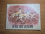 Carte pentru copii - si ele sunt antilope - din anul 1977
