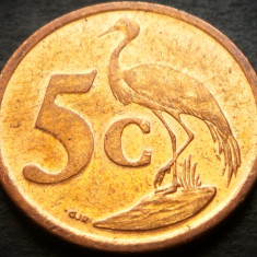 Moneda 5 CENTI - AFRICA de SUD, anul 2008 * cod 2478 = UMZANTSI AFRIKA - A.UNC