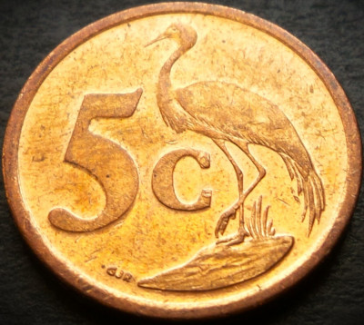 Moneda 5 CENTI - AFRICA de SUD, anul 2008 * cod 2478 = UMZANTSI AFRIKA - A.UNC foto