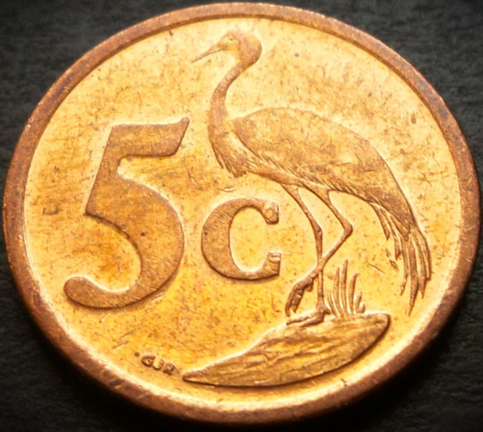 Moneda 5 CENTI - AFRICA de SUD, anul 2008 * cod 2478 = UMZANTSI AFRIKA - A.UNC