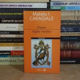MATEIU I. CARAGIALE - PAJERE ( EDITIE BILINGVA ) , TRAD. ROMULUS VULPESCU , 2006 *