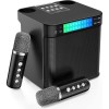 Microfon karaoke copii si adulti, cu difuzor separat, wireless, Bluetooth, modul card TF, 2 microfoane incluse, negru