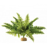 Exo Terra Planta Boston Fern, Hagen